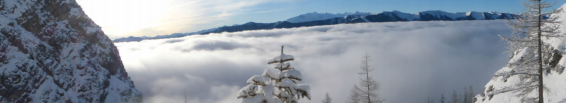 Freeride Skischool Saalbach